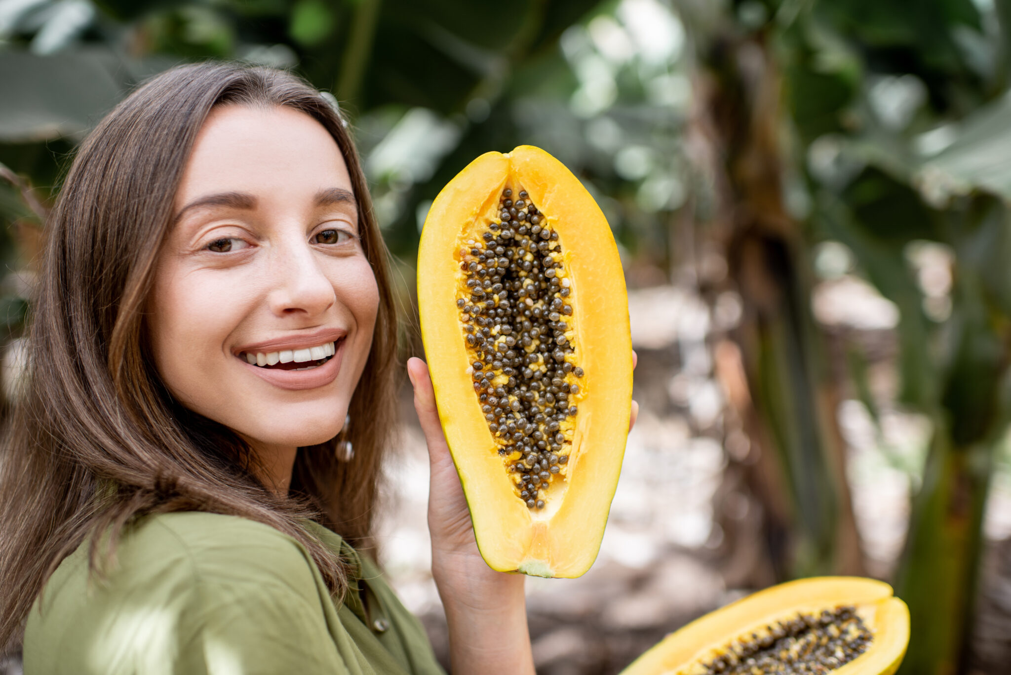 Growing a Papaya Tree from Seeds A StepbyStep Guide Lovena Garden