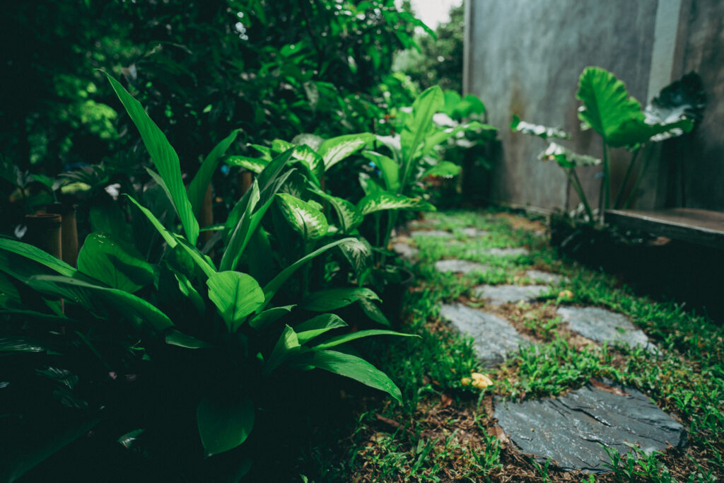 Lovena Garden Home Decor Gardening Batam Indonesia expert tip Creating a Tropical Paradise Tips for Landscaping Your Outdoor Garden